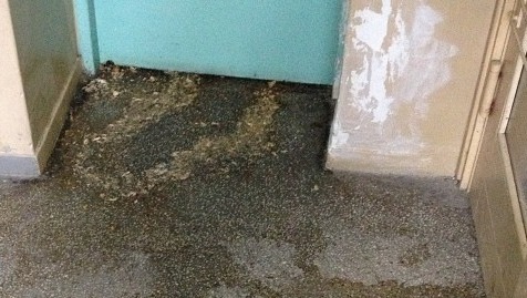 Dębiec: mieszkańcy skarżą się na bezdomnych, którzy wciąż koczują w klatkach schodowych i sikają na wycieraczki