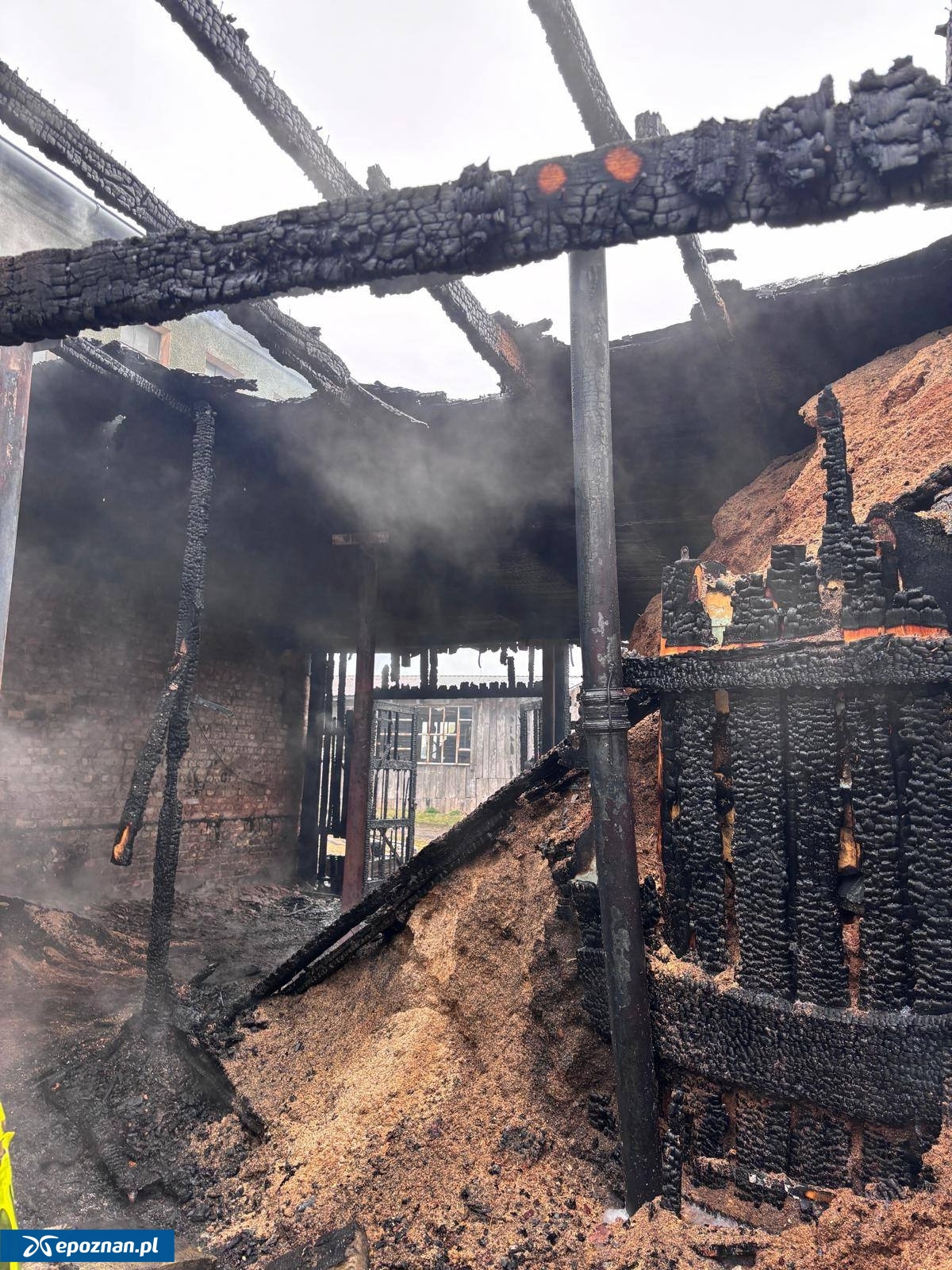 fot. st. str. Jan Przybylski, KW PSP w Poznaniu