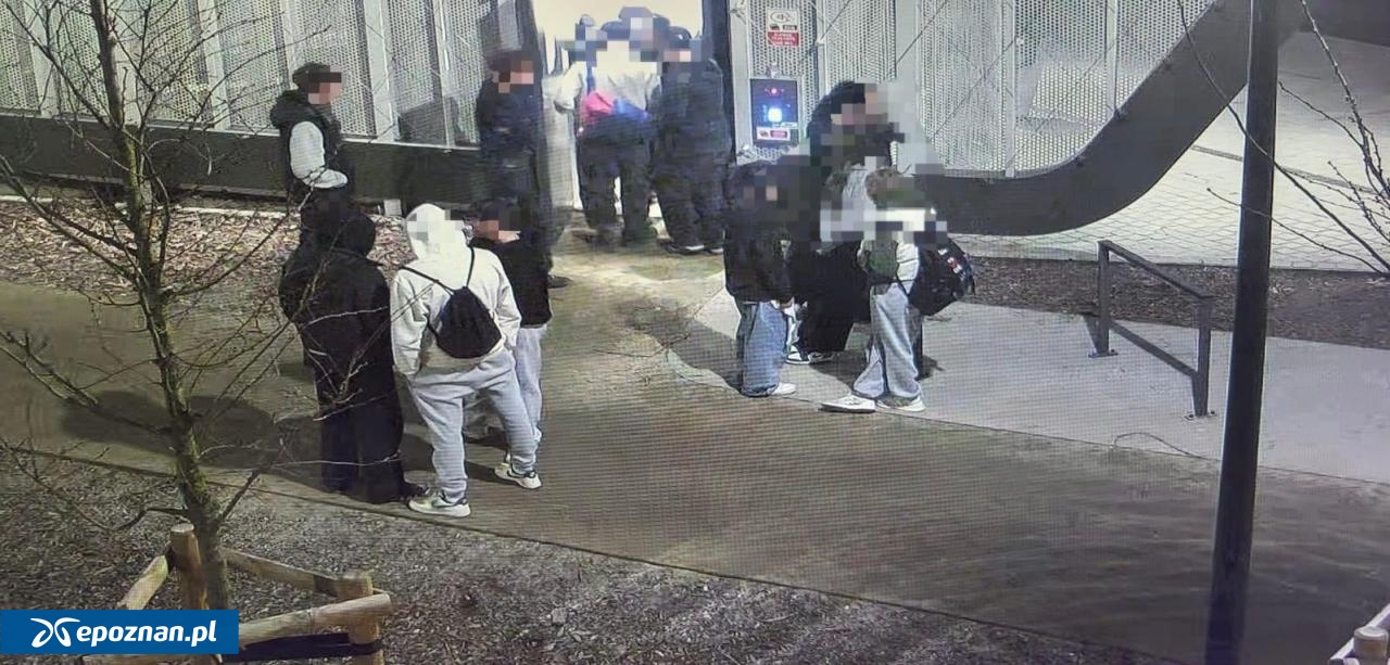 fot. KPP Gniezno / FB