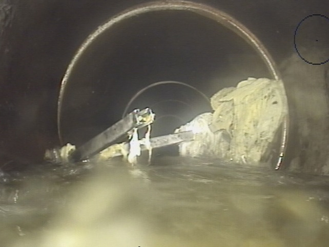 Takie 'niespodzianki' w poznańskich kanałach. Jest apel do mieszkańców