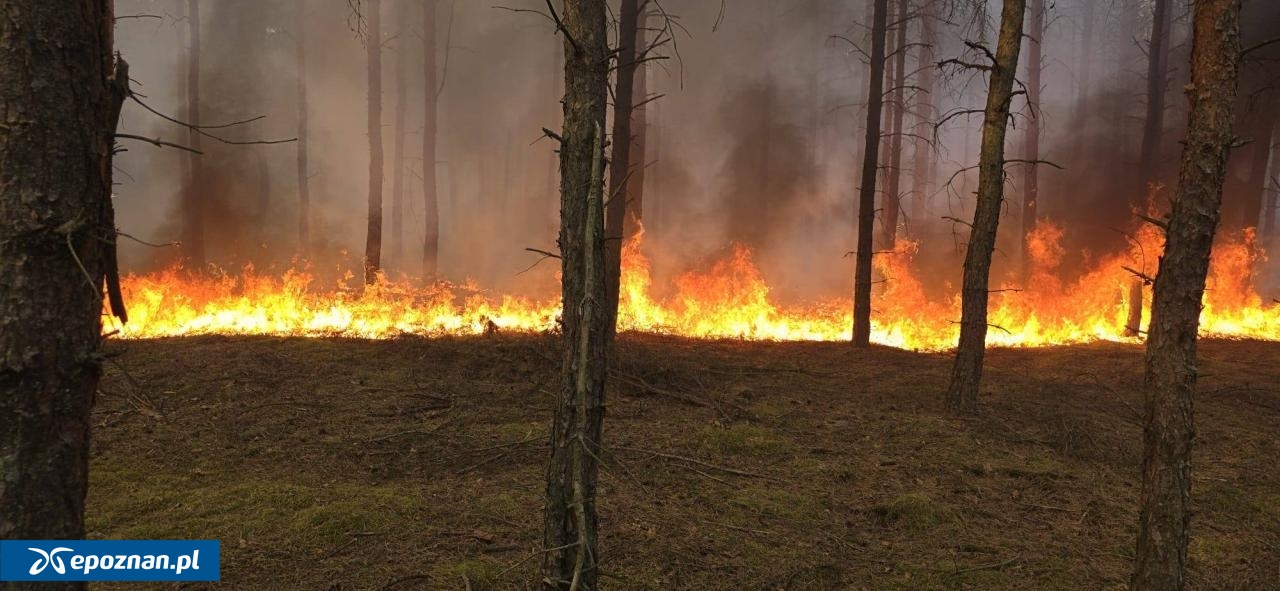 fot. KP PSP Czarnków, RDPL Piła