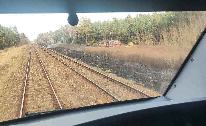 Duży pożar w regionie. 28 zastępów straży pożarnej w akcji