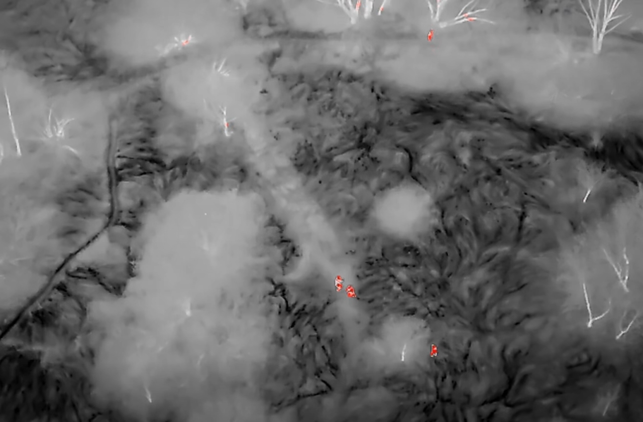 Dramatyczna akcja ratunkowa w parku w regionie. Kobieta utknęła w bagnie, pomógł dron z termowizją