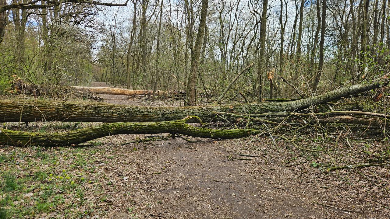 Za nami bardzo pracowite święta strażaków. Interweniowali setki razy