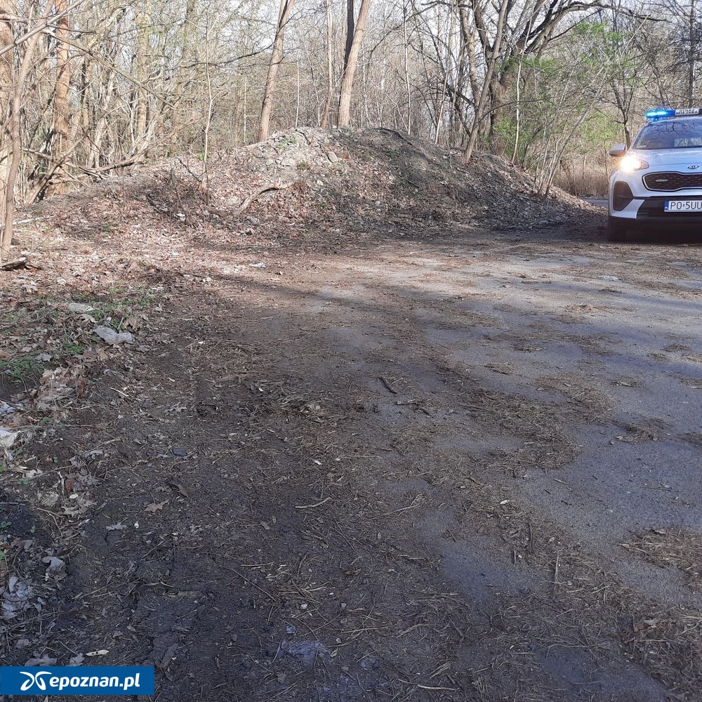 fot. Straż Miejska Miasta Poznania / FB