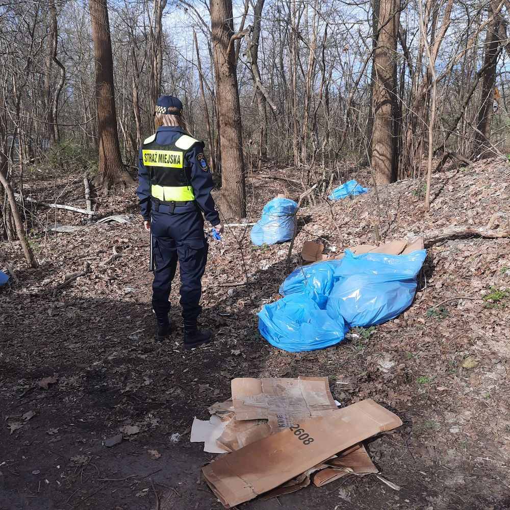 Poznańscy strażnicy miejscy widzieli, kto wyrzuca śmieci. Błyskawiczna reakcja