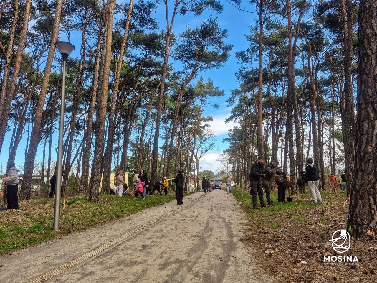 Pod Poznaniem będzie rosło 300 nowych drzew. Posadzili je w jeden dzień