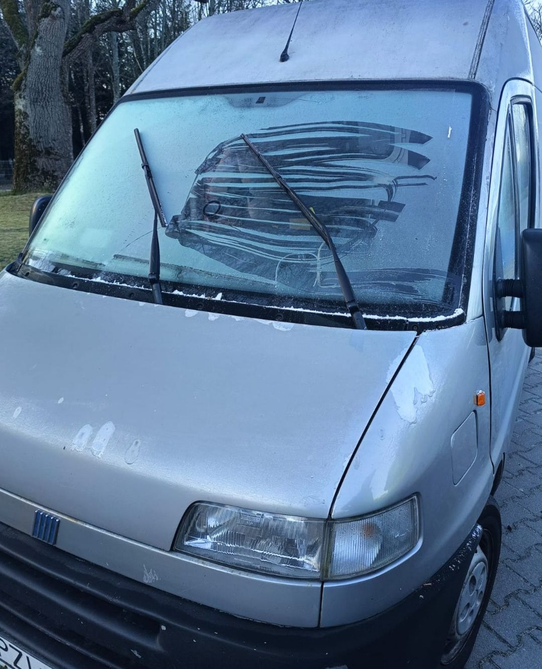 Pomimo wiosny poranki bywają mroźne. "To zdjęcie jest dowodem na lekceważenie życia."