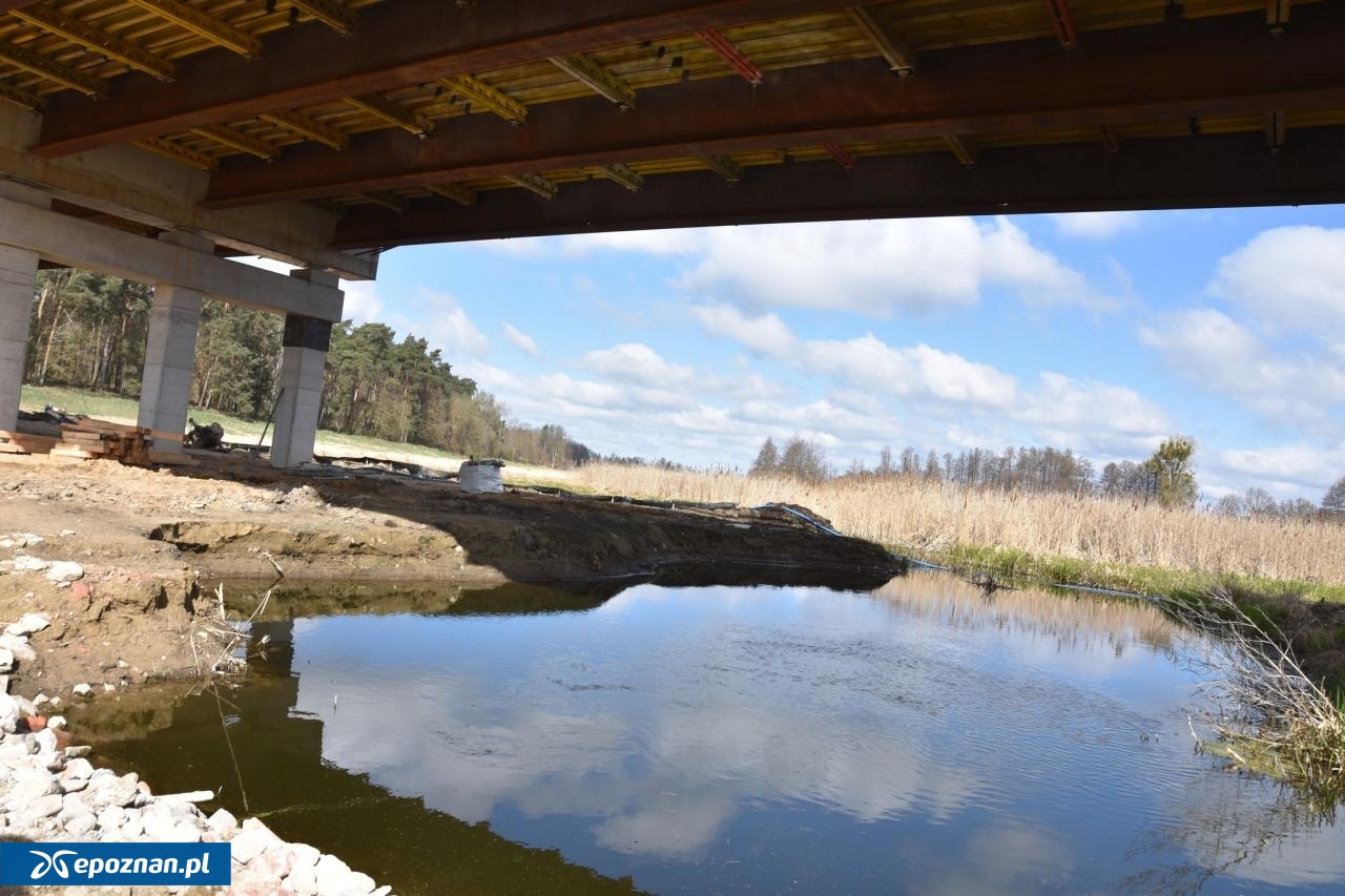 fot. WZDW w Poznaniu