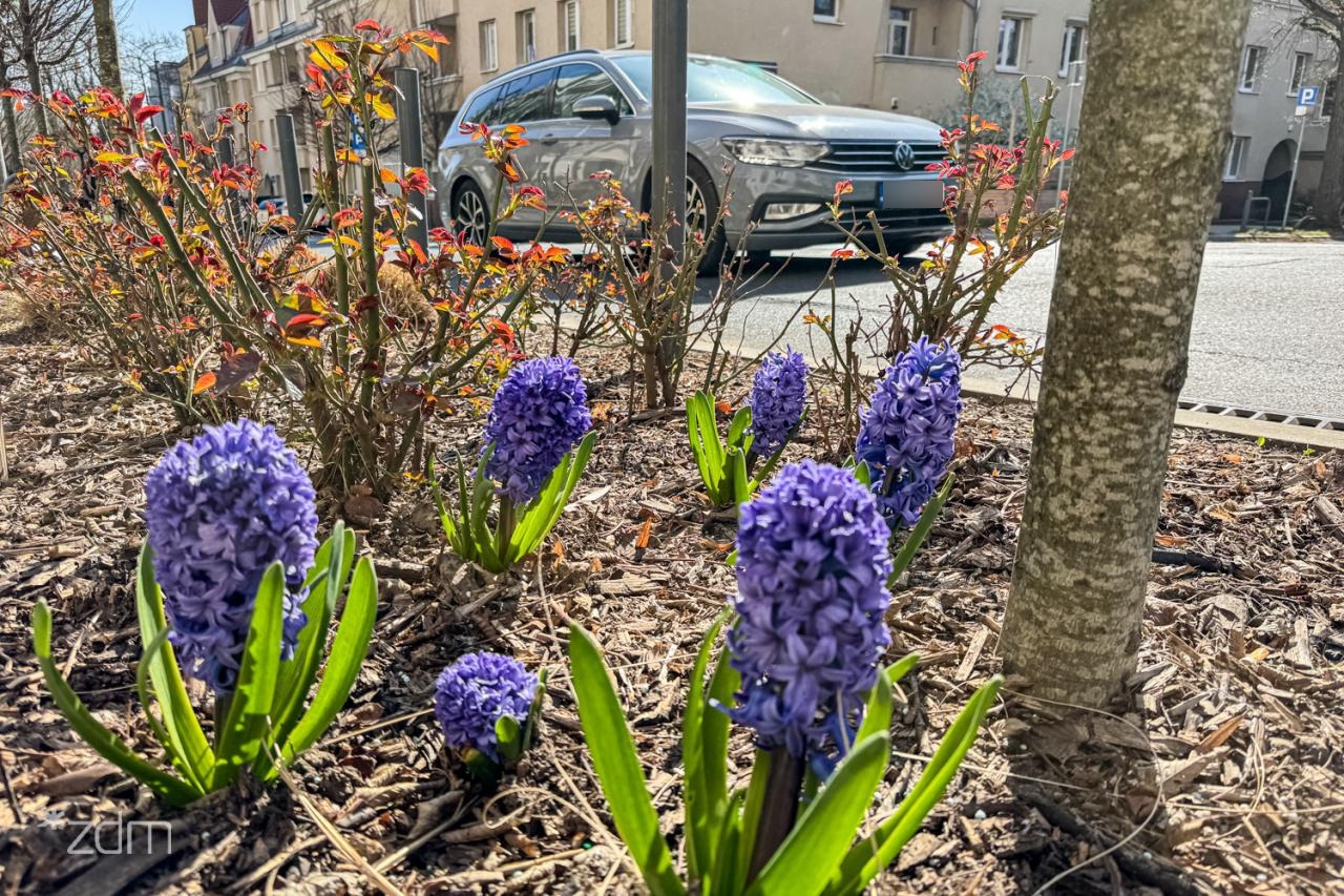 fot. Bartosz Jankowski / ZDM