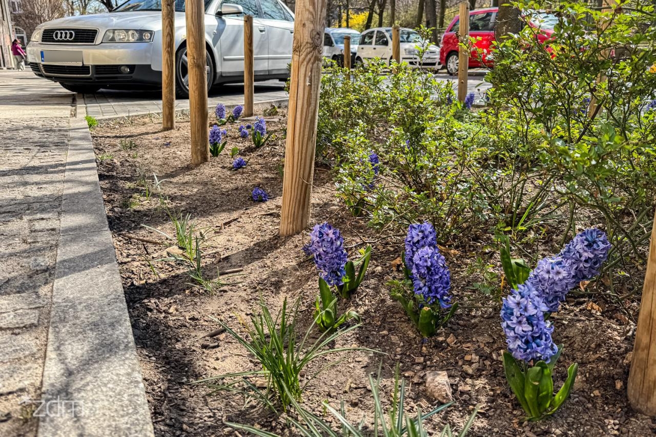 fot. Bartosz Jankowski / ZDM