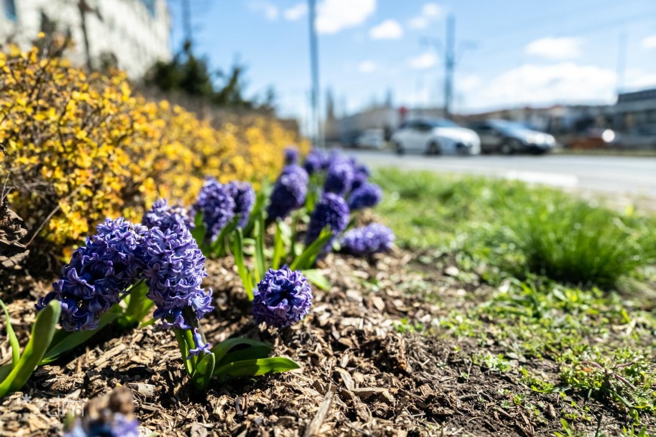 fot. Bartosz Jankowski / ZDM