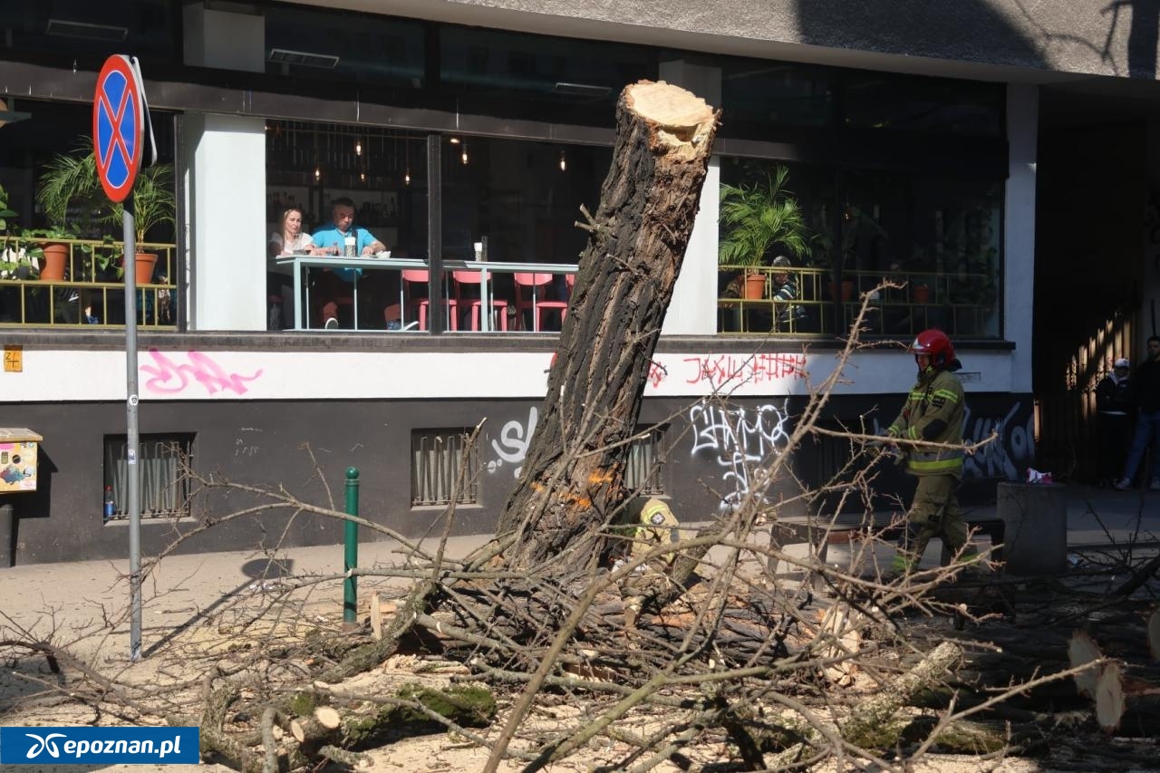 fot. Tomasz Sokołowski