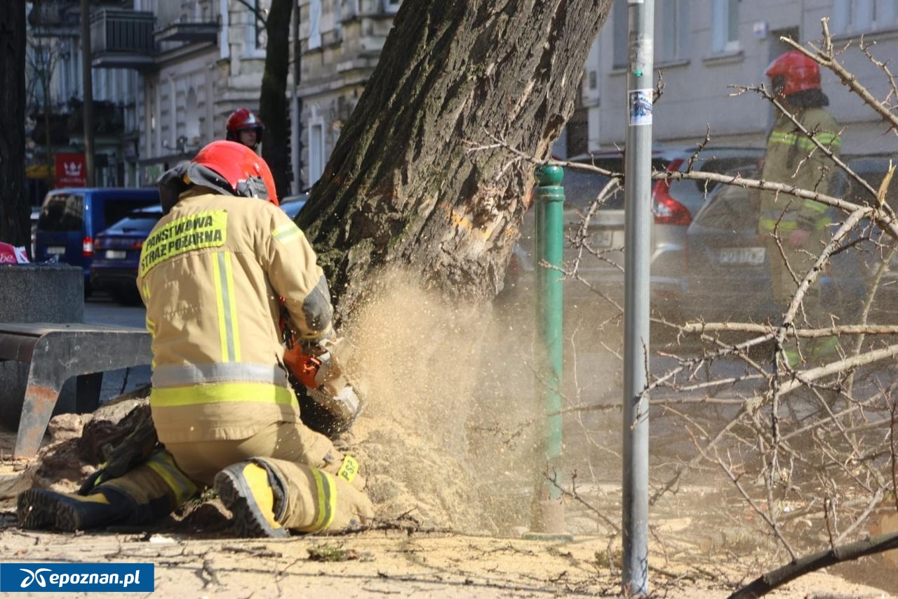 fot. Tomasz Sokołowski