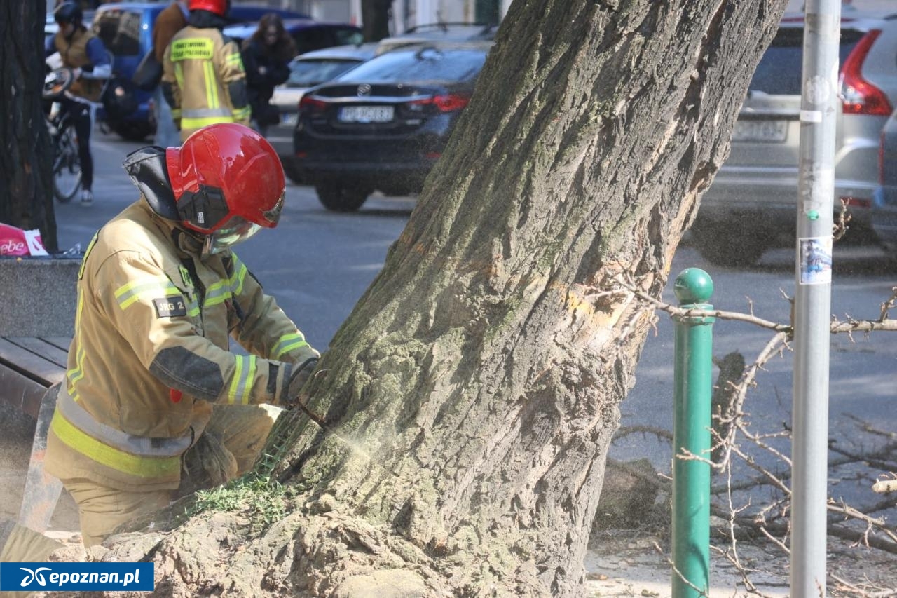 fot. Tomasz Sokołowski