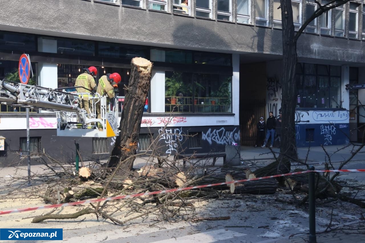 fot. Tomasz Sokołowski