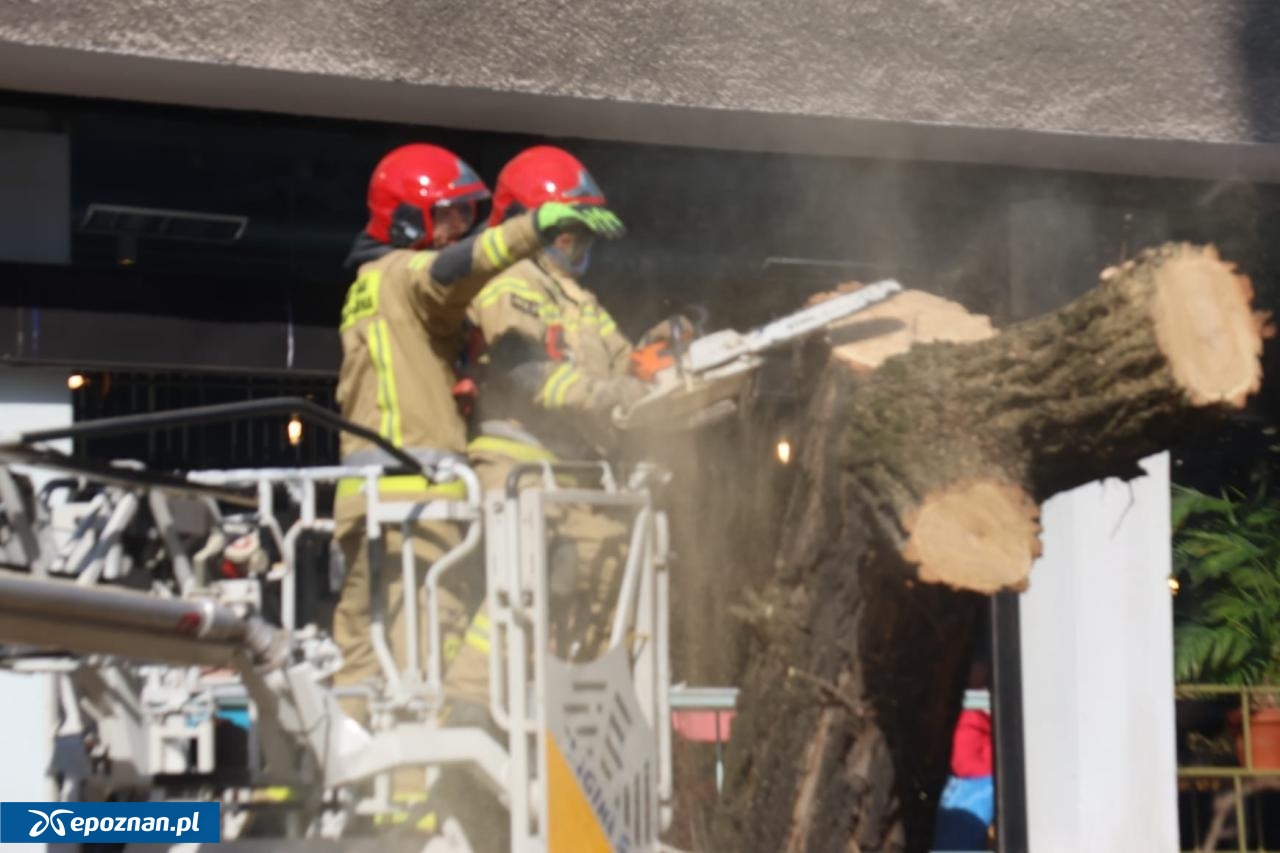 fot. Tomasz Sokołowski