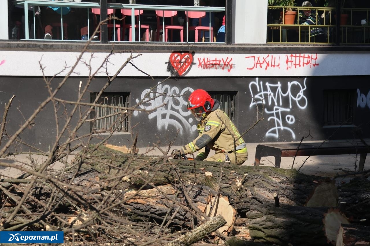 fot. Tomasz Sokołowski