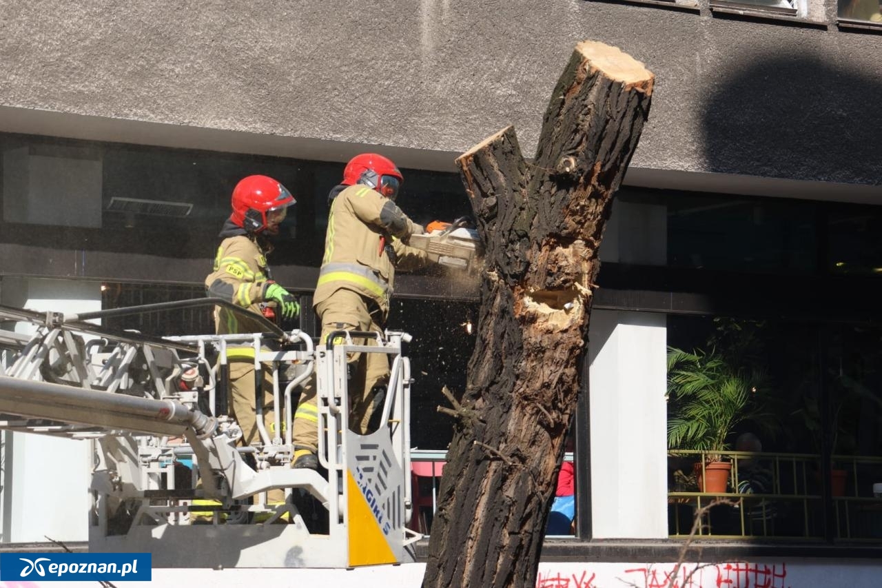 fot. Tomasz Sokołowski