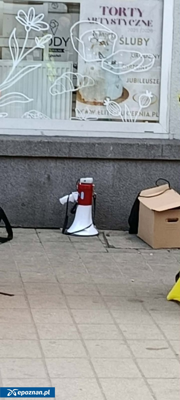 fot. Materiały organizatora