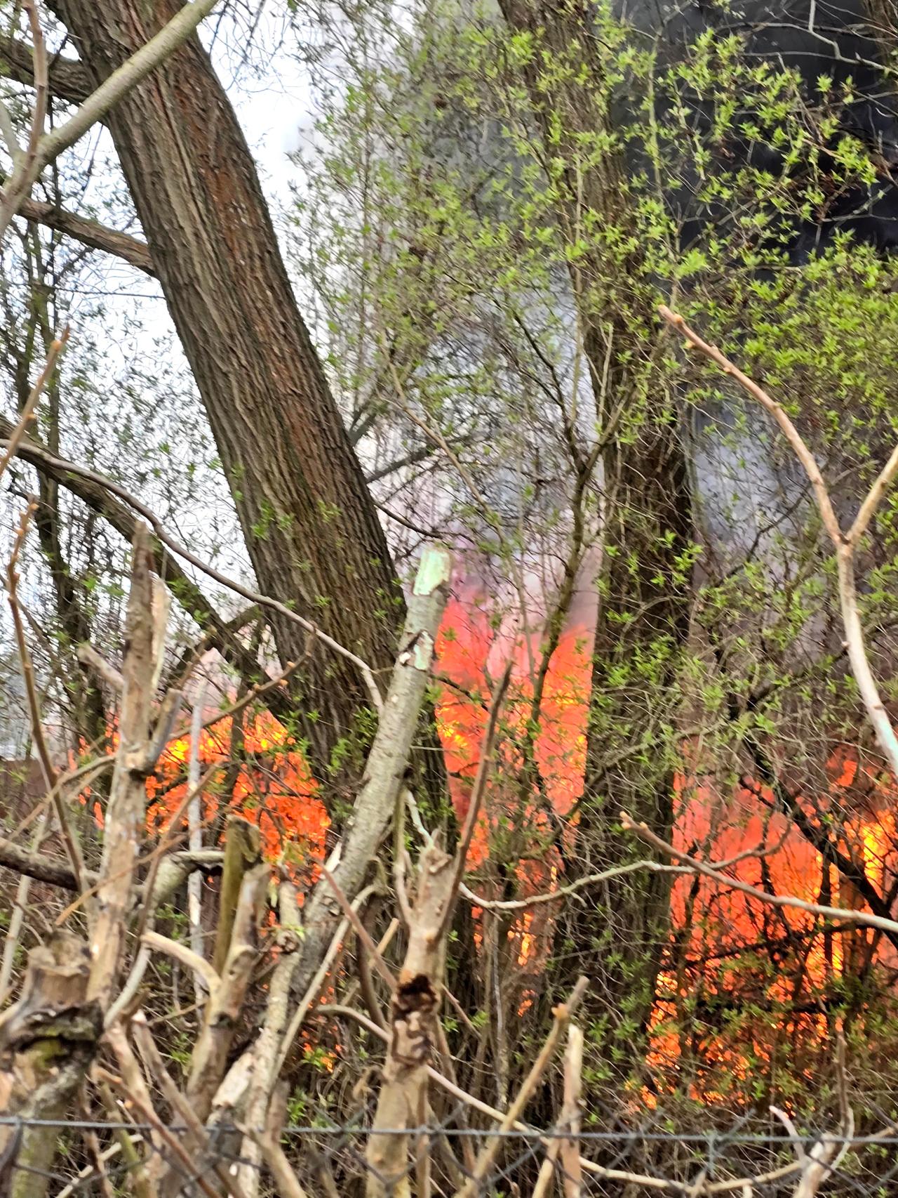 Pożar na działkach w Poznaniu. Altana w ogniu