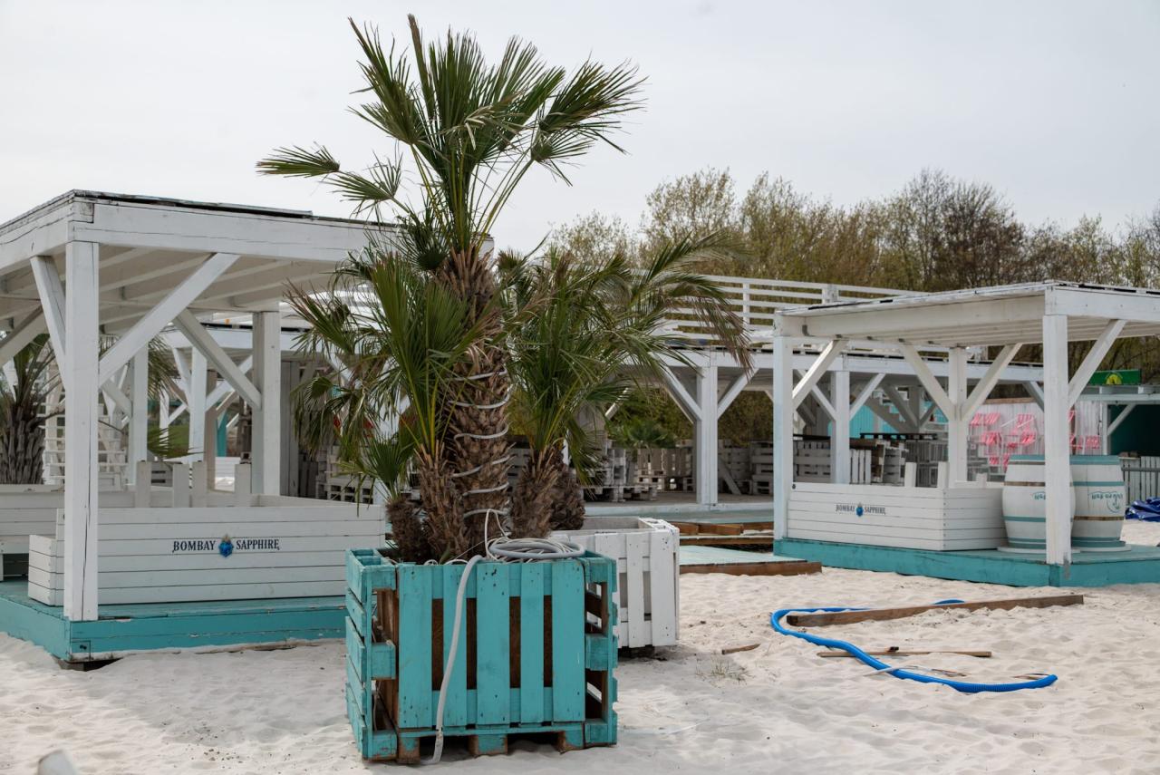 Palmy wróciły nad Wartę. Już za kilka dni to miejsce znów ma tętnić życiem