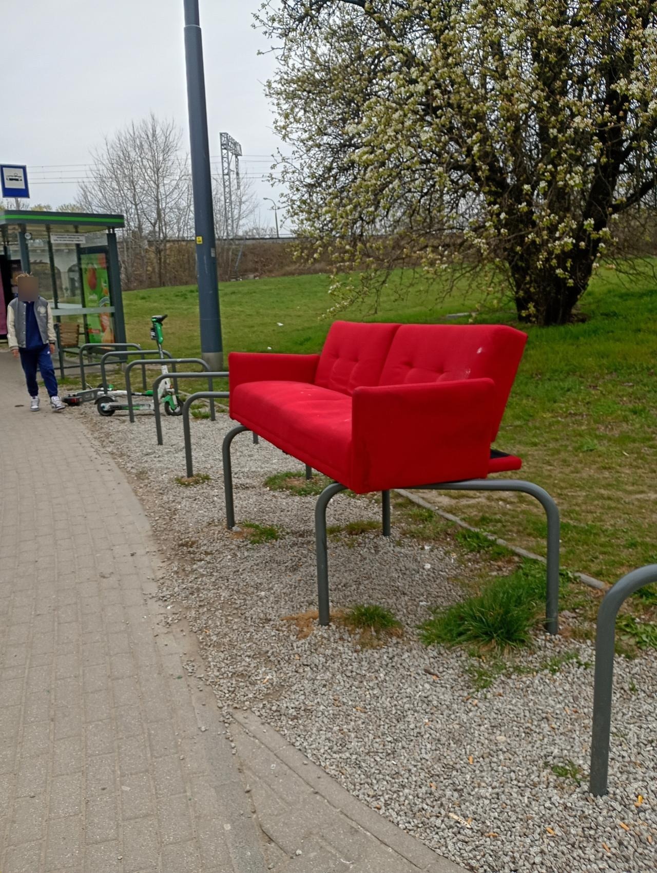 Nietypowy "eksponat" przy przystanku. Taki "performance" może skończyć się wysokim mandatem