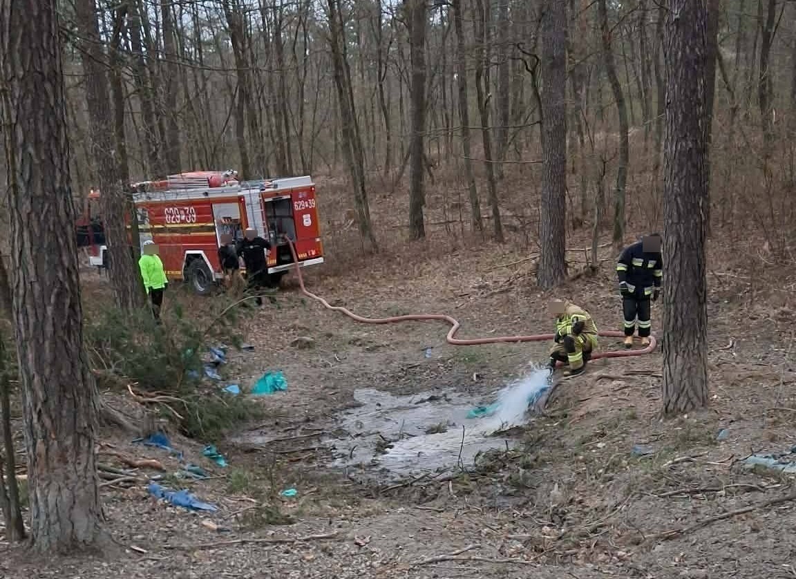 Susza daje się we znaki. Strażacy ruszyli na pomoc zwierzętom
