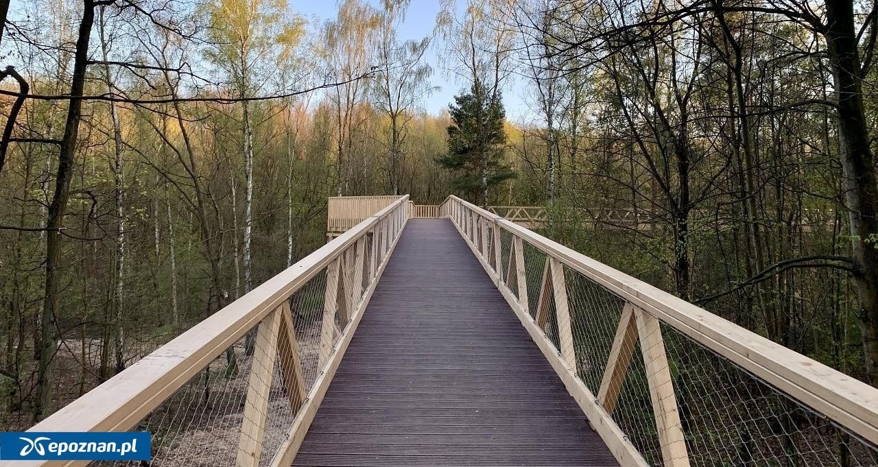 Popularna poznańska atrakcja niedostępna co najmniej do czerwca!