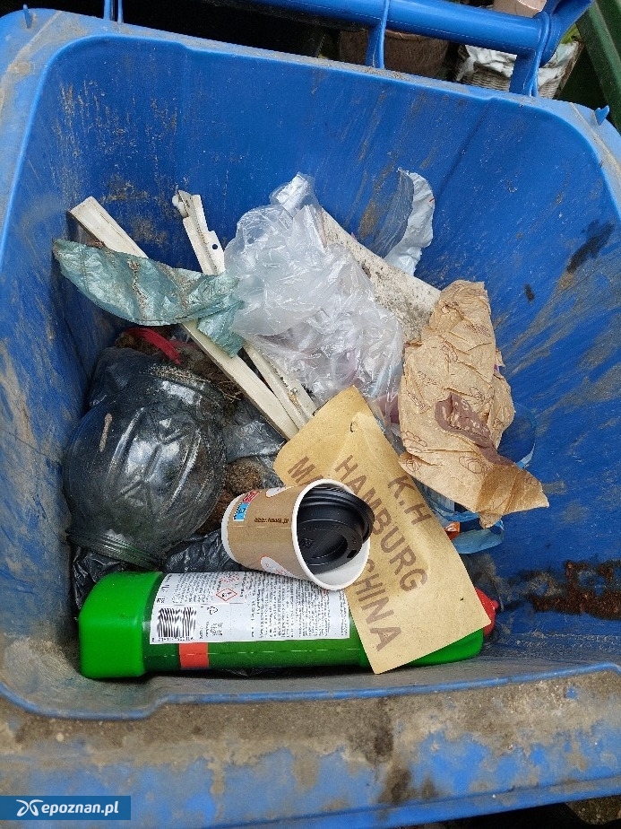 fot. Straż Miejska Miasta Poznania / FB