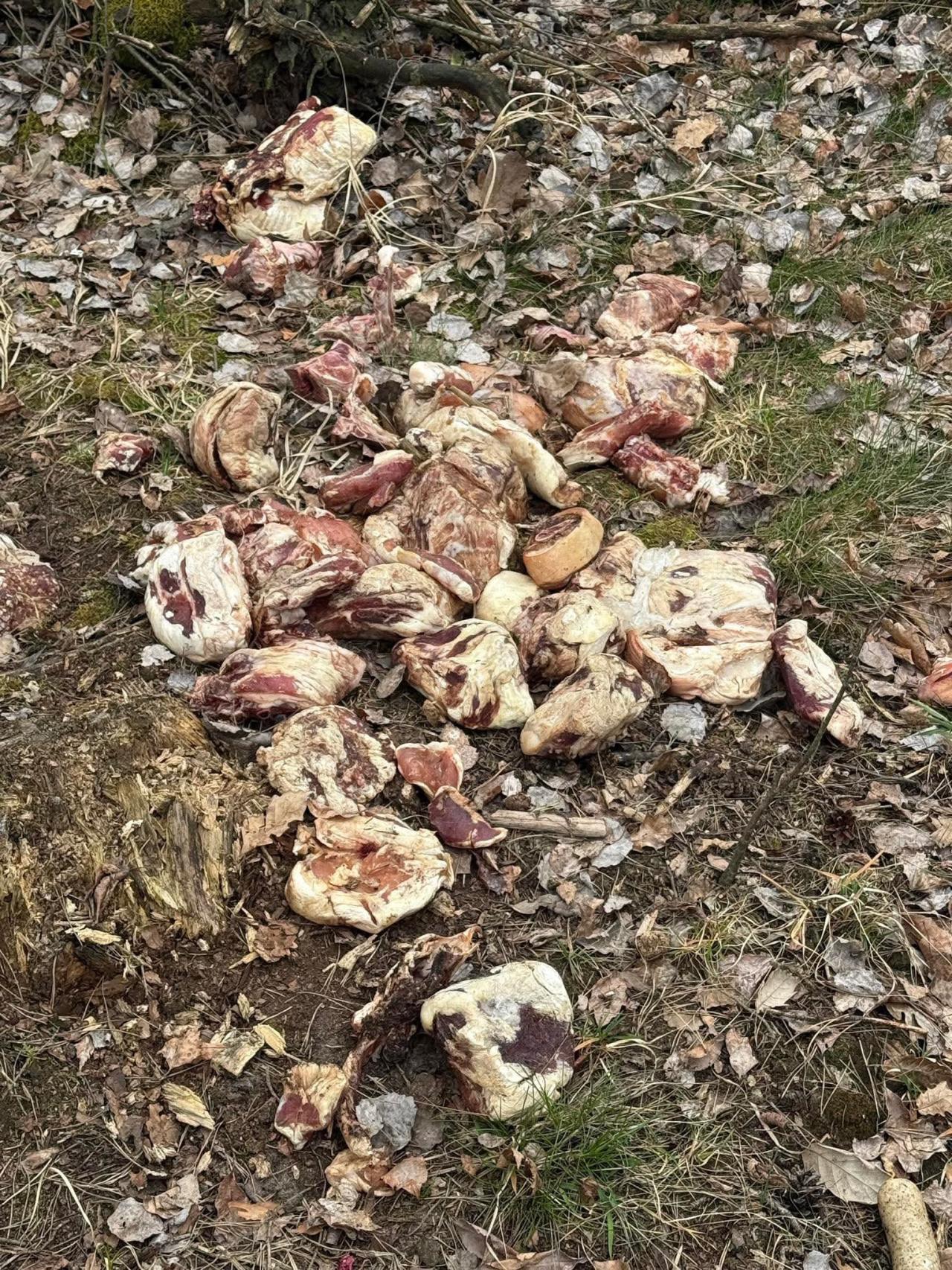 Taki widok w jednym z lasów w naszym regionie. "To jest zwykłe, bezczelne chamstwo."