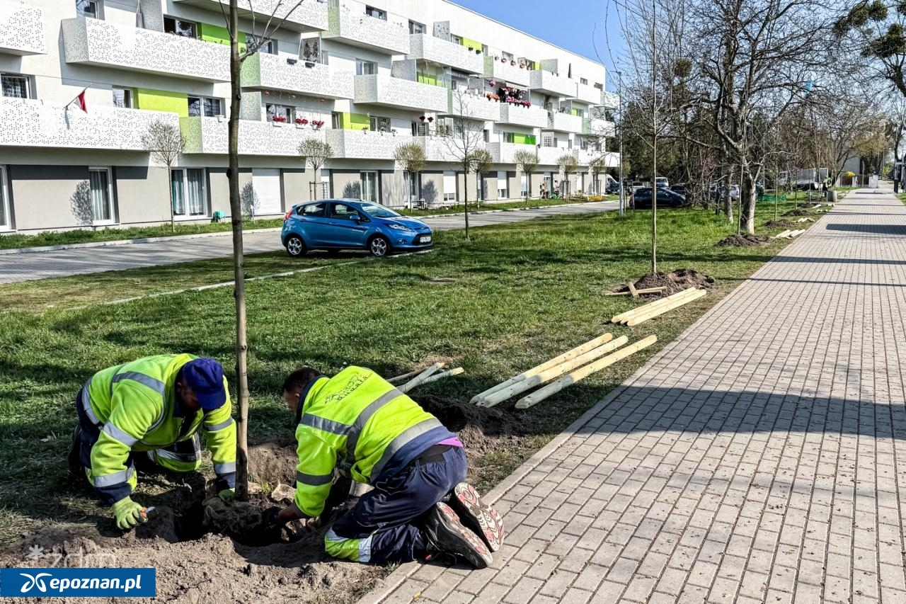 fot. Bartosz Szczepaniak / ZDM