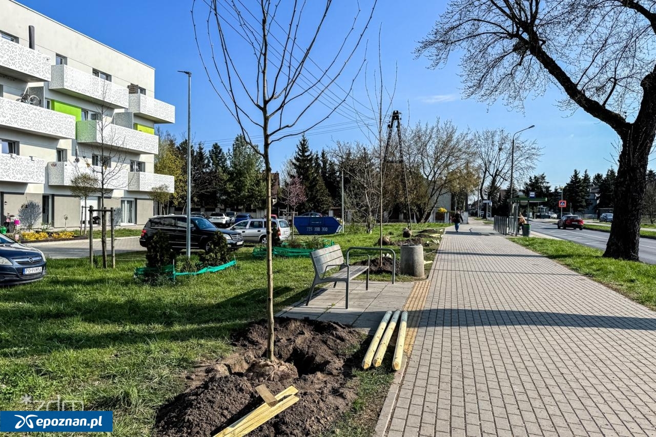 fot. Bartosz Szczepaniak / ZDM