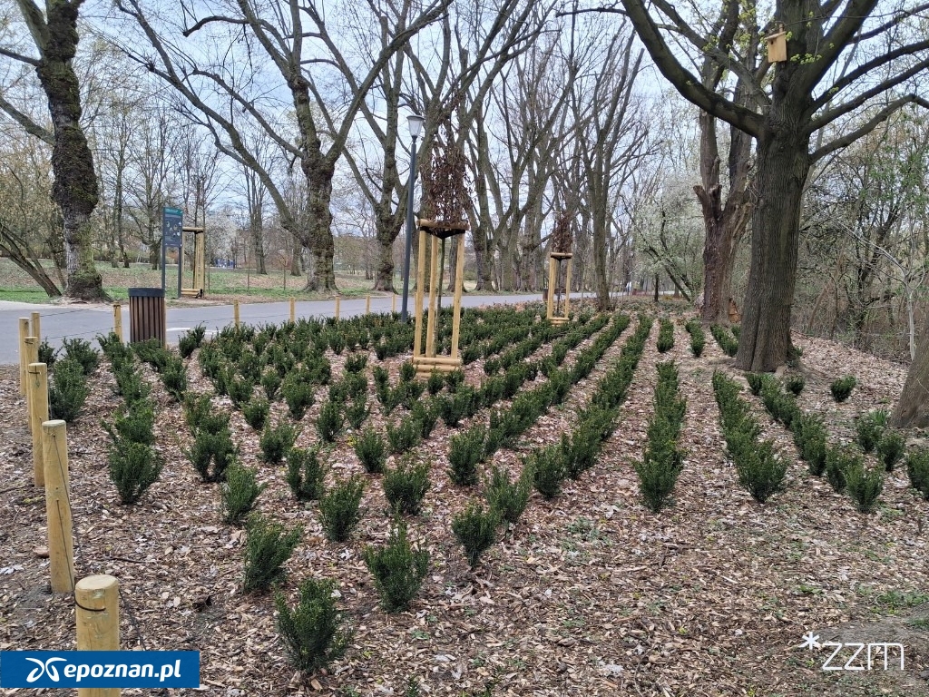 fot. ZZM Poznań / FB