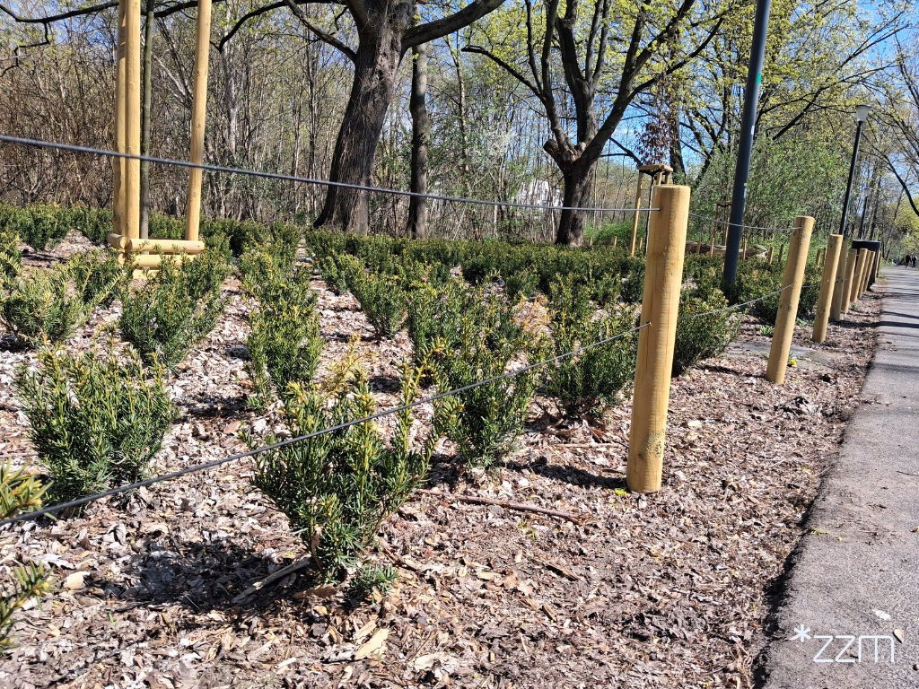 Postawili ogrodzenie w jednym z poznańskich parków. Jest apel do spacerowiczów