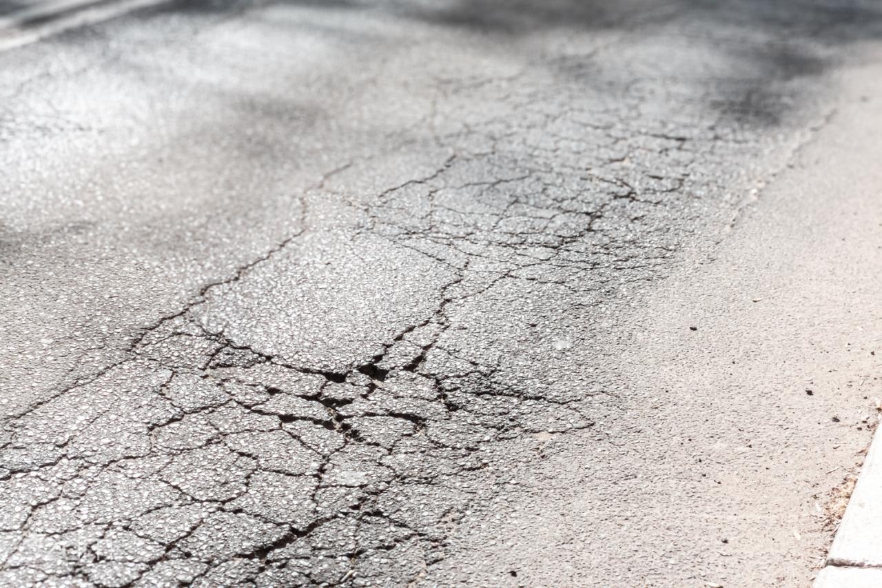 fot. Bartosz Jankowski / ZDM