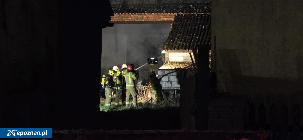 fot. Olga Jakubowicz