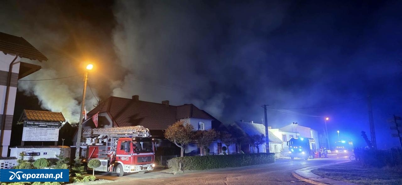 fot. Olga Jakubowicz