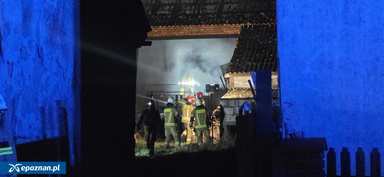 fot. Olga Jakubowicz