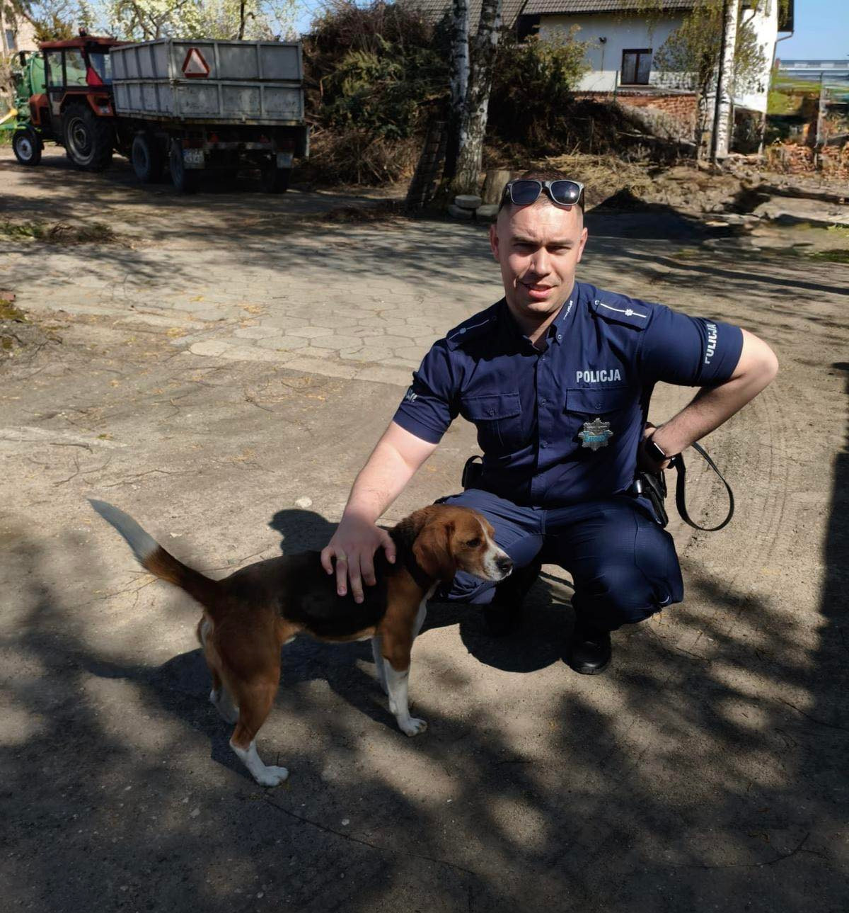 Niebezpieczna sytuacja na drodze w regionie. "Pies w panice wbiegał pod nadjeżdżające samochody."