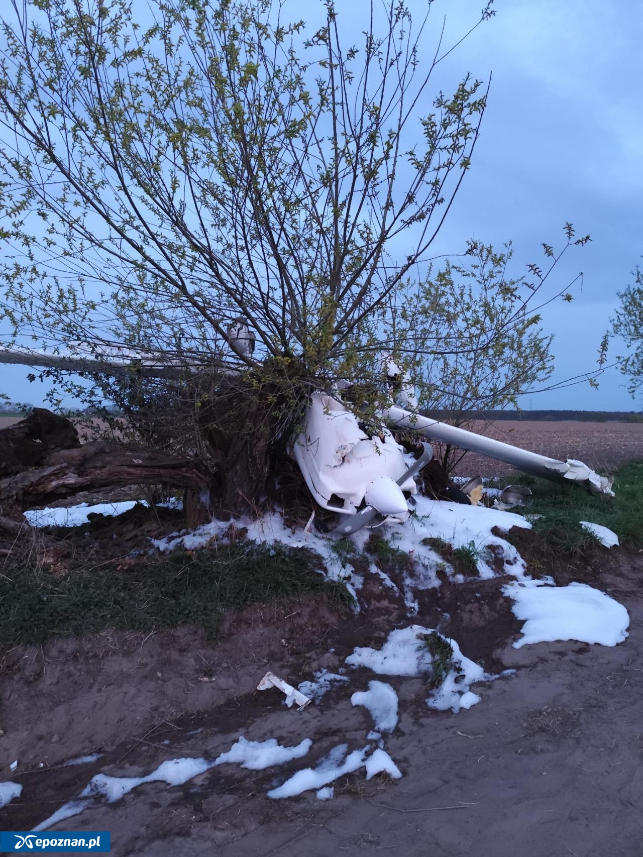 fot. Wielkopolska Policja