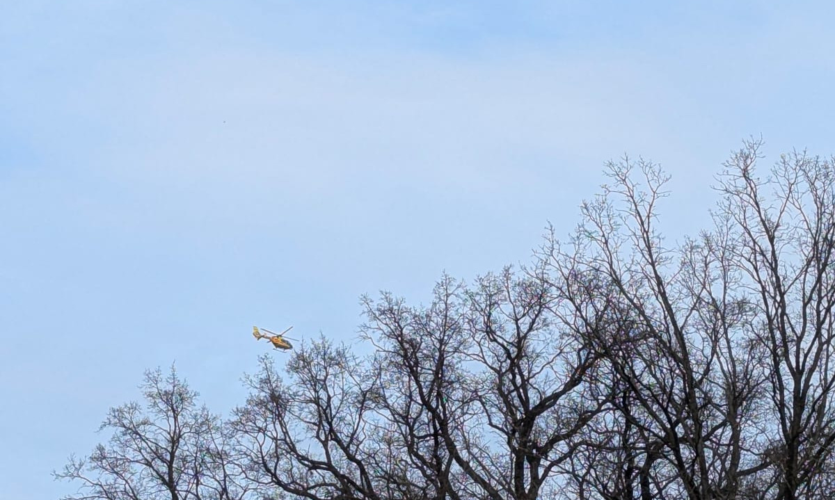 Wypadek pod Poznaniem. Samochód uderzył w drzewo