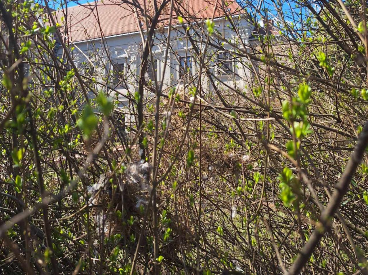 Za to grozi kara grzywny lub nagany. ZZM przypomina