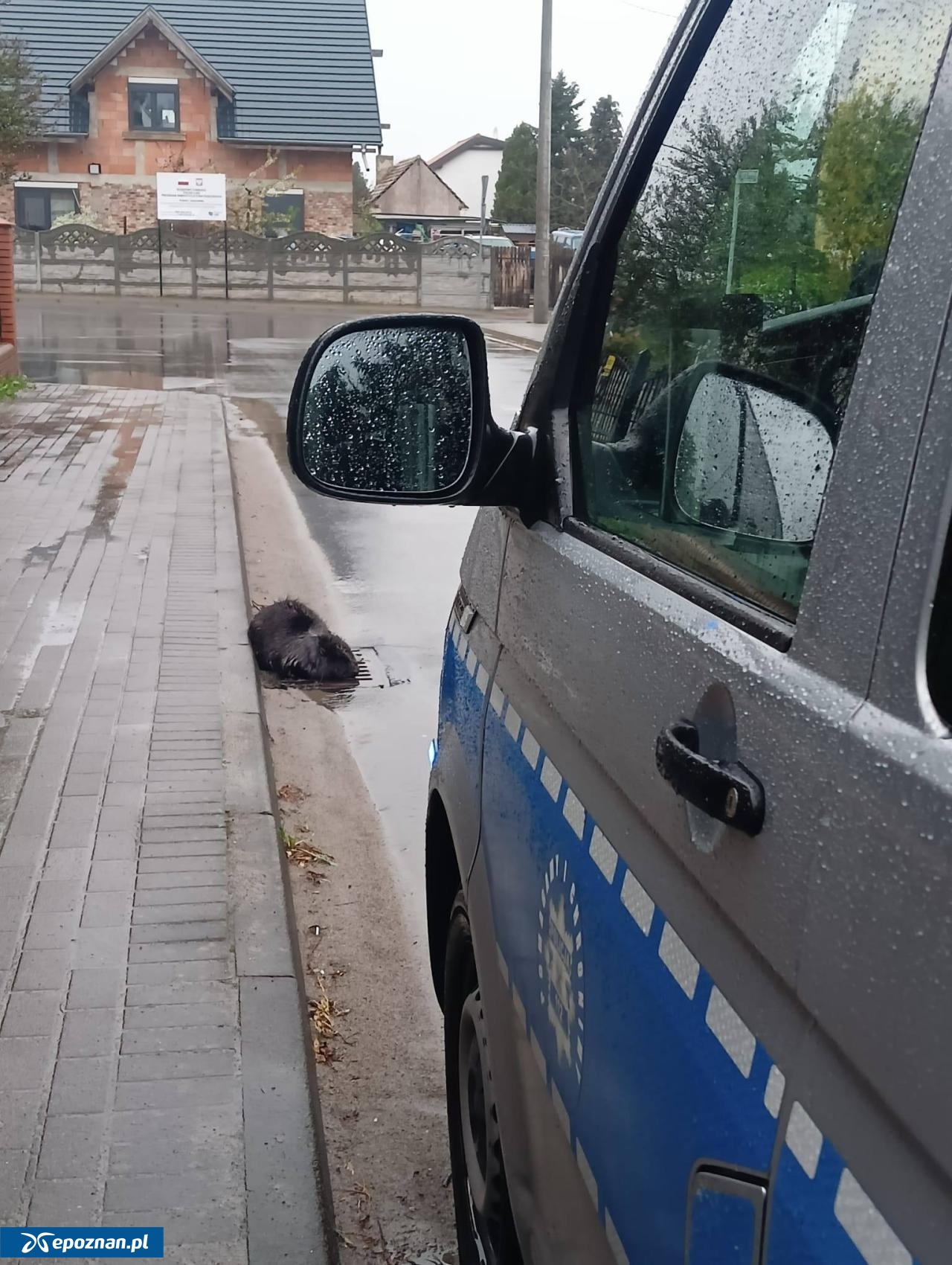 fot. Policja Jarocin