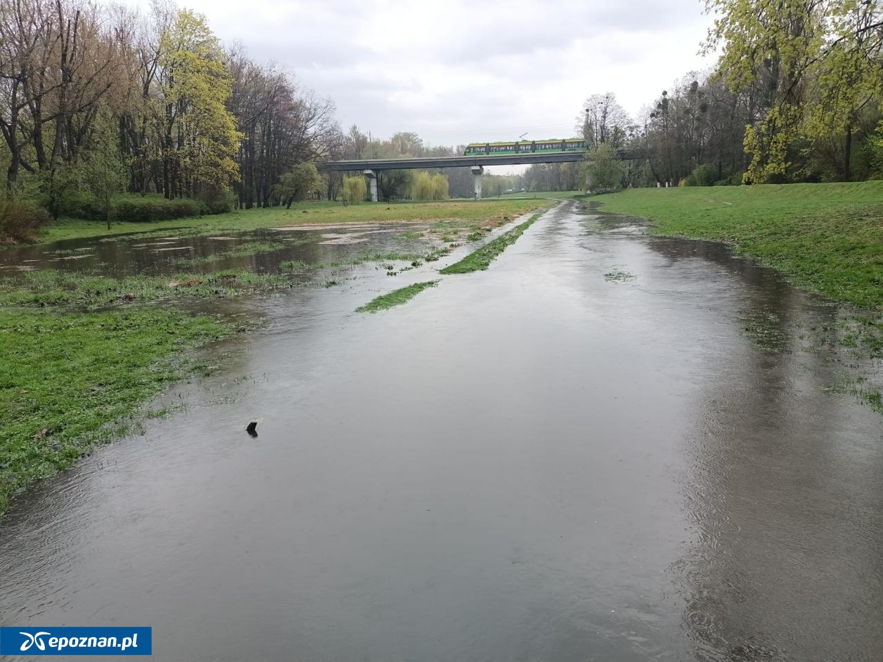 fot. Włodzimierz Hoppel