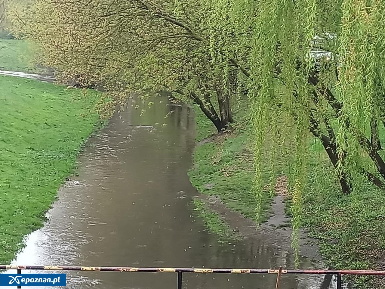 fot. Włodzimierz Hoppel