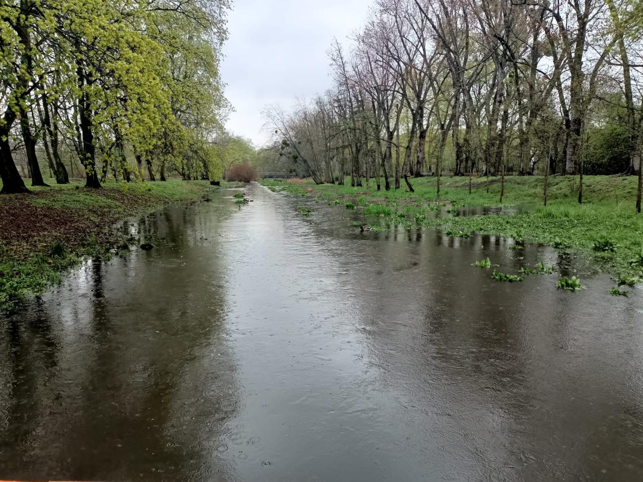 Popadało. Poznańska rzeczka znowu jak górski potok