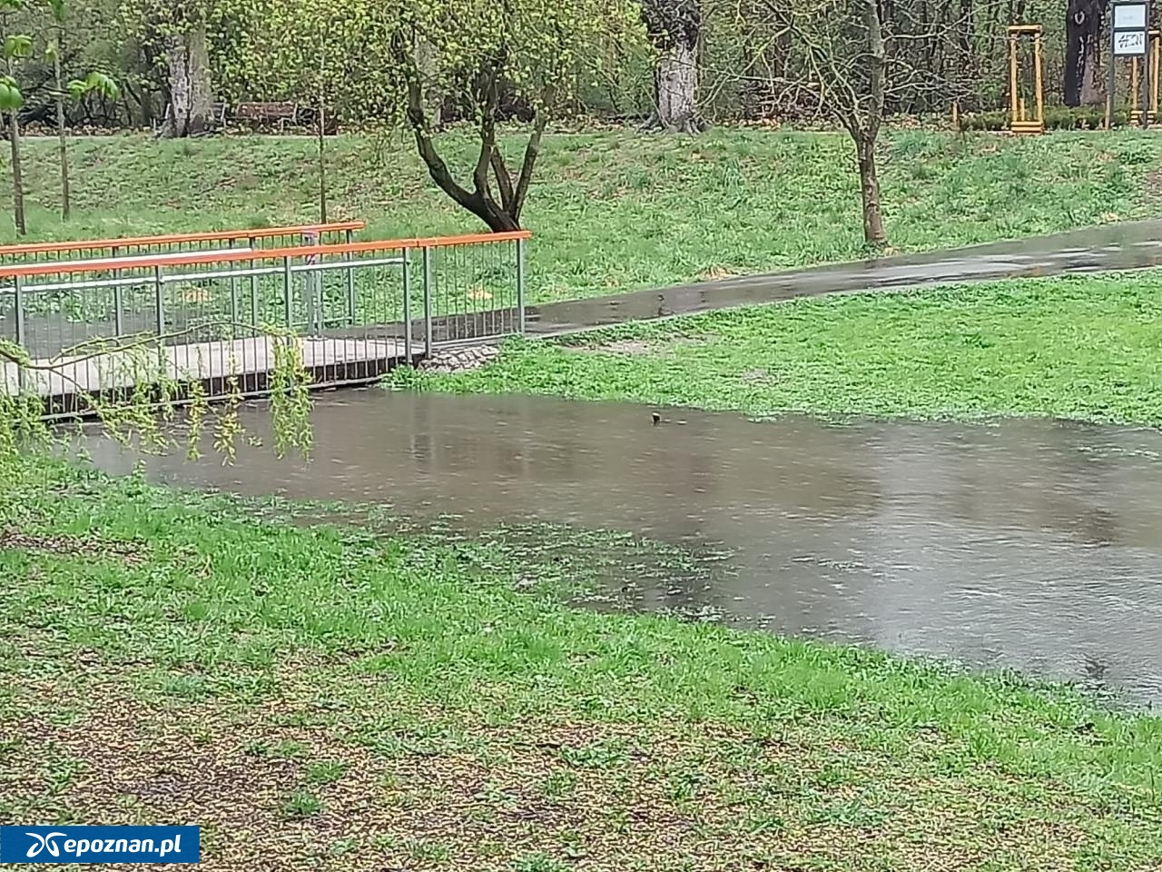 fot. Włodzimierz Hoppel