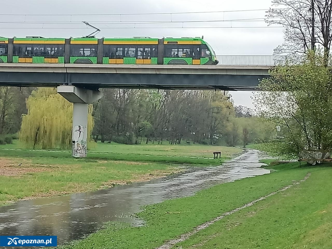 fot. Włodzimierz Hoppel