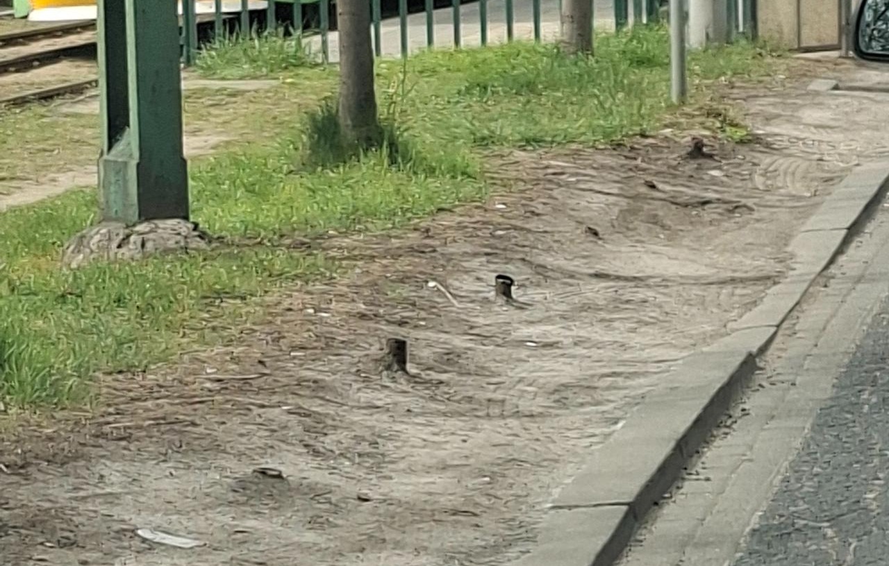 Taka "niespodzianka" dla kierowców przy ruchliwej trasie w Poznaniu. "Ciekawe ile osób uszkodziło opony w aucie?"